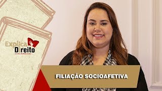 Explica Direito Filiação Socioafetiva  2019 [upl. by Ajet]