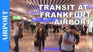 TRANSIT WALK AT FRANKFURT Airport FRA Terminal 1  Connection Flight Transfer Arriving amp Departing [upl. by Brig]